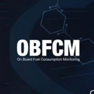 Поддержка параметров OBFCM
